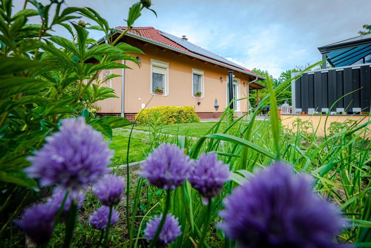 Sunny Garden Pihenohaz Villa ชิโอฟก ภายนอก รูปภาพ